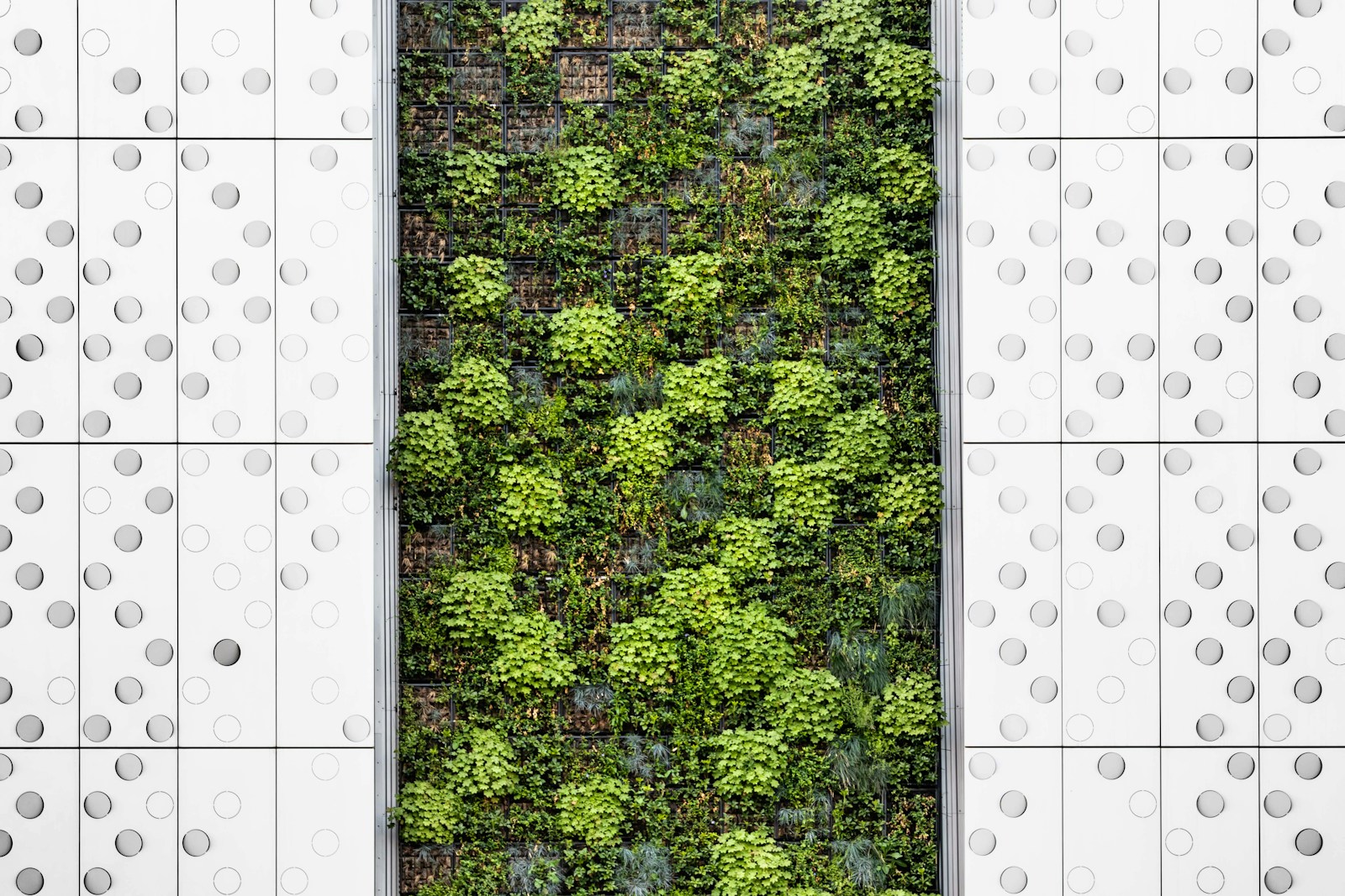 a wall covered in lots of green plants